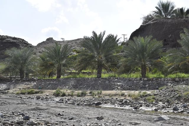 Mountain Safari Tour to Jabel Jais - Ras al Khaimah - Photo 1 of 5